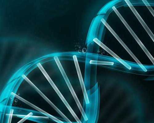 国内哪家医院有供卵库的,2026运城中心医院试管婴儿实用操作指引，附真实助孕成功经验